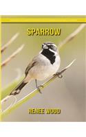 Sparrow: Beautiful Pictures & Interesting Facts Children Book about Sparrow