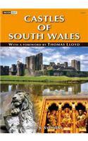 Inside out Series: Castles of South Wales