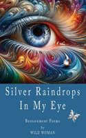 Silver Raindrops In My Eye