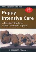 Puppy Intensive Care