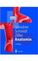 Anatomie
