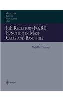 IGE Receptor (Fc&#949;ri) Function in Mast Cells and Basophils