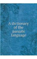 A dictionary of the panjabi language