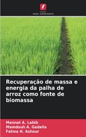 Recuperação de massa e energia da palha de arroz como fonte de biomassa