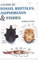 Ayurvedic Flora Media with Equivalents in Sanskrit and Regional Languages Medicinal Properties and Notes Identification