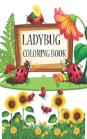 Ladybug Coloring Book