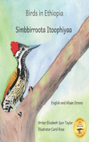 Birds in Ethiopia