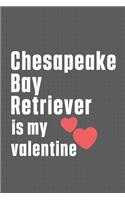 Chesapeake Bay Retriever is my valentine: For Chesapeake Bay Retriever Dog Fans