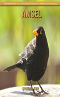 Amsel: Sagenhafte Bilder und lustige Fakten für Kinder