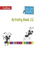 Year 2 Activity Book 2C