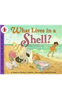 What Lives In A Shell
