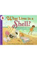 What Lives in a Shell?