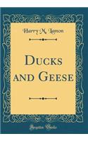 Ducks and Geese (Classic Reprint)