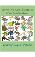 Terrestrial Land Animals 13