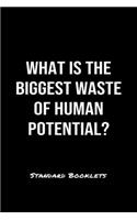 What Is The Biggest Waste Of Human Potential?: A softcover blank lined notebook to jot down business ideas, record daily events and ponder life's big questions.