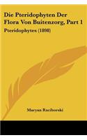 Pteridophyten Der Flora Von Buitenzorg, Part 1