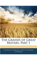 The Grasses of Great Britain, Part 1