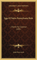 Eggs Of Native Pennsylvania Birds