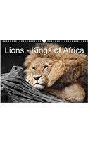 Lions - Kings of Africa 2017