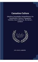 Carnation Culture