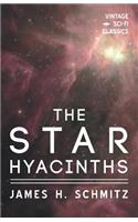 Star Hyacinths