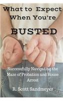 What To Expect When You're Busted: Successfully Navigating the Maze of Probation and House Arrest