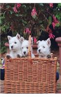 Three Puppies Basket Dog Photo Journal: (Notebook, Diary, Blank Book)