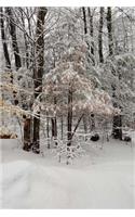 Journal Scenic Winter Weather Forest