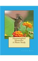 Hummingbird Moments