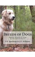 Breeds of Dogs: Popular Breeds of Dogs in the United States