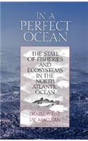 In a Perfect Ocean