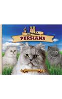 Popular Persians