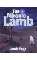Miracle Lamb