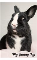 My Bunny Log