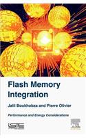 Flash Memory Integration
