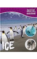 Ice: (Amazing Migrations)