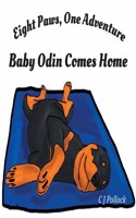 Eight Paws One Adventure