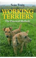 Working Terriers