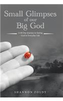 Small Glimpses of Our Big God: A 60 Day Journey to Seeing God in Everyday Life