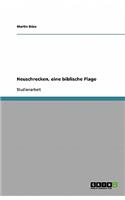 Heuschrecken, eine biblische Plage