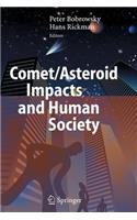 Comet/Asteroid Impacts and Human Society