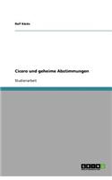 Cicero und geheime Abstimmungen