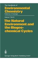 Natural Environment and the Biogeochemical Cycles