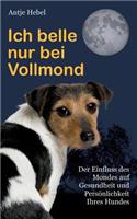 Ich belle nur bei Vollmond