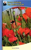 Bruno Gröning - Die Meisterschaft