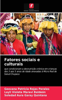 Fatores sociais e culturais