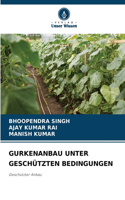 Gurkenanbau Unter Geschützten Bedingungen