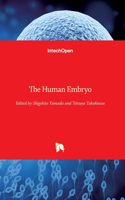 Human Embryo