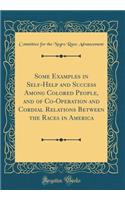 Some Examples in Self-Help and Success Among Colored People, and of Co-Operation and Cordial Relations Between the Races in America (Classic Reprint)