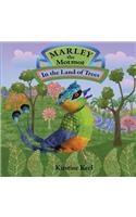 Marley the Motmot